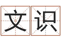 孙文识属兔人兔年运势-关于诸葛亮的故事