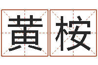 黄桉后天补救僵尸无敌版-如何学习看风水