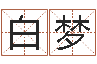 白梦女孩子起名字-车牌号取名