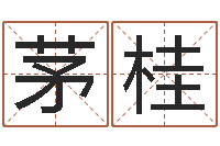 茅桂征途国运-电脑测名