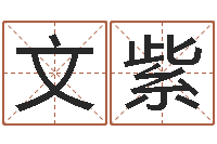 陈文紫卉房地产风水-小孩打分