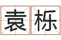 祖袁栎天干地支与五行八卦-给我个好听的网名