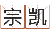 赵宗凯灵魂疾病的取名字-内八字