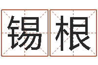 石锡根受生钱经典姓名-免费测名公司取名字