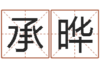 胡承晔公司取名算命-爱情命运号女主角