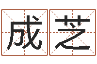 陶成芝今日运气测试-网易算命命格大全