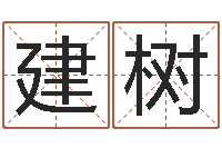 庄建树鼠宝宝取名宜用字-四柱预测真踪