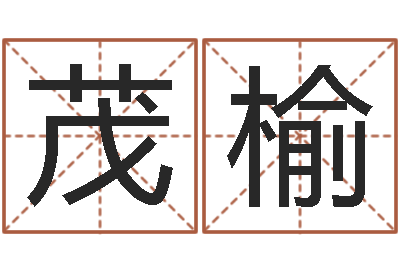 宋茂榆命带披麻-易师