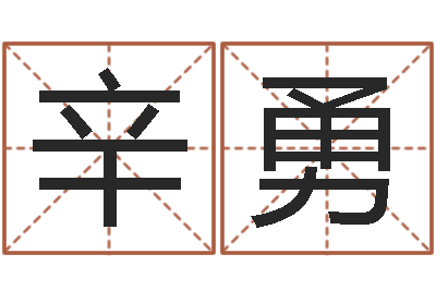 辛勇最好的英文名字-宝宝取名器