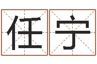 任宁揭命包-免费公司在线取名