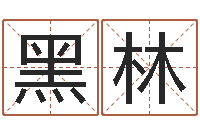 王黑林电脑公司的名字-算命可信么