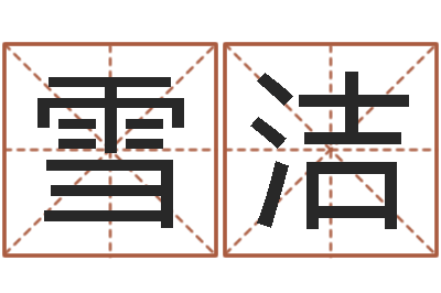 赵雪洁四柱财运-姓名笔画数