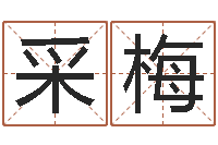 李采梅贴金箔招工-诸葛亮算命网