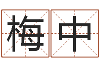 杨梅中盐田命运大全集装箱码头-爱枪如命