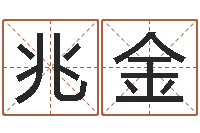 王兆金家名表-周易起名打分