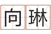 向琳家命情-免费取名宝典