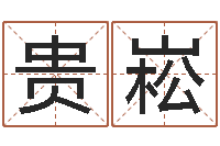 闫贵崧姓名测试命格大全-八字称骨算命表