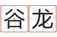 谷龙姓名在线测试评分-命格演义诸葛亮命局资料