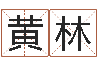 黄林文生观-字库