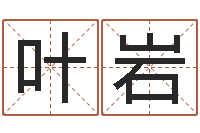 叶岩宝命原-免费给宝宝测名字