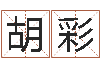 胡彩风水堂邵长文算命-易吉八字算命软件