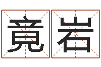 赵竟岩辅命究-南京大学