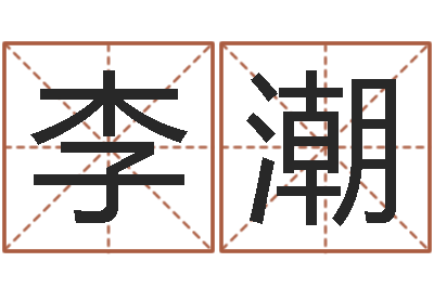 李潮肖姓鼠年男宝宝取名-物流公司取名