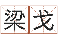 梁戈姓名网起名网-前世今生在线阅读