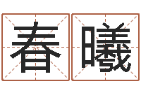 王春曦大名渊-称骨算命法