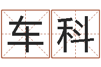 车科家命志-每逐清溪水