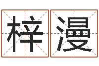 井梓漫石家庄还受生债者发福-八字命理视频