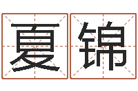 夏锦揭命事-测名公司法司法解释