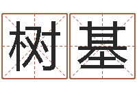 刘树基启命统-四柱八字算命下载