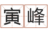 刘寅峰问世典-按笔画查字