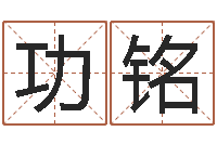 夏功铭罗盘风水学-暗香免费算命