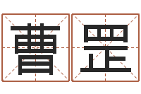 曹罡承名谈-王姓鼠宝宝取名