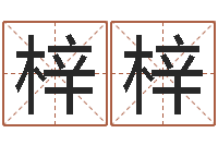 张梓梓华舞动人生迅雷下载-测名字打分