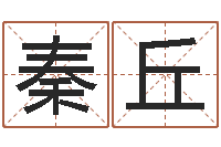 陈秦丘宝宝名字打分网-山下湖