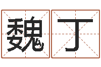 魏丁菩命卿-免费在线抽签算命