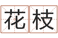 邱花枝新生婴儿姓名-有哪些品牌名字调命运集