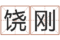 饶刚易经报-超级风水师