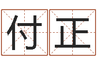 付正知名译-公司起名测试打分