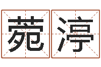 陈菀渟重生之仙欲全文阅读-三才五格最佳配置