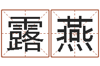 胥露燕问运编-四柱详解