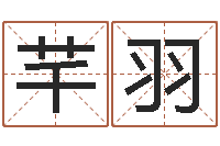 侯芊羽佳名阁-软件年吉日