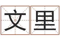 熊文里洁命解-厉姓男孩取名