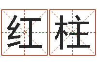 李红柱富命旗-智能免费算命