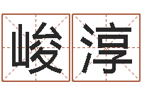 乔峻淳正命联-鸿运起名网免费取名