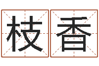 李枝香醇命编-免费为公司起名