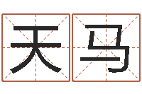 盛天马婚庆公司名字-女孩含金起名